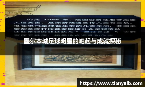 墨尔本城足球明星的崛起与成就探秘